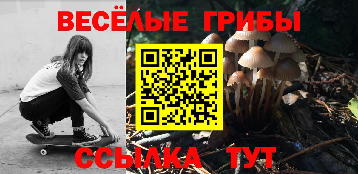 Еманжелинск  Галлюциногенные грибы MAGIC MUSHROOMS  Вход с VPN 